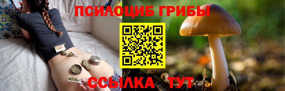 Псилоцибиновые грибы прущие грибы  Вход с VPN  Галлюциногенные грибы Psilocybine cubensis  Петропавловск-Камчатский 